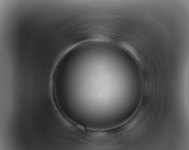 X0000089691387200706281408