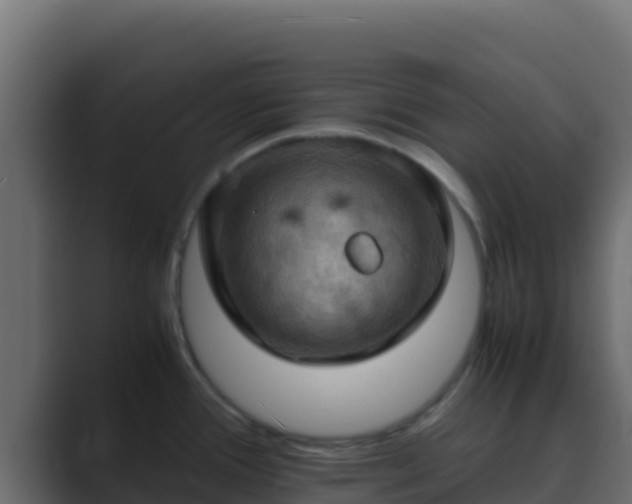 X0000089691388200706281408