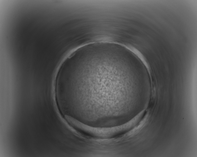 X0000089691389200706281408