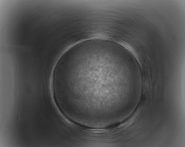 X0000089691391200706281408