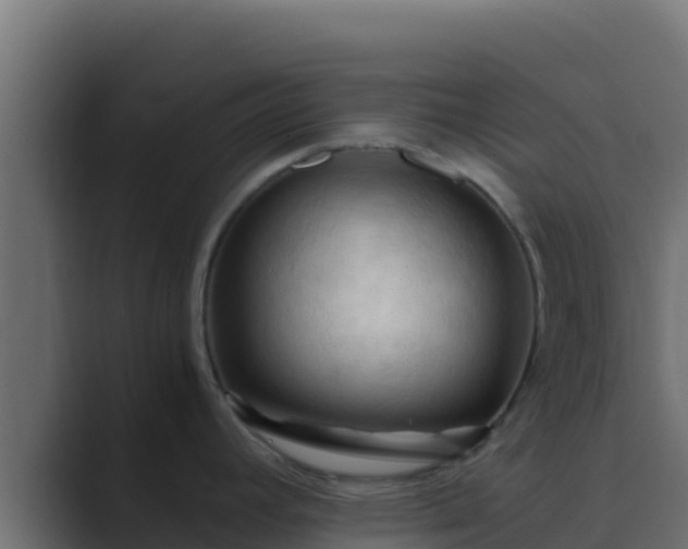 X0000089691392200706281408