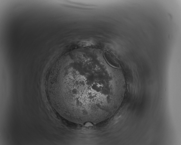 X0000089691393200706281407