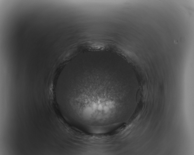 X0000089691394200706281407