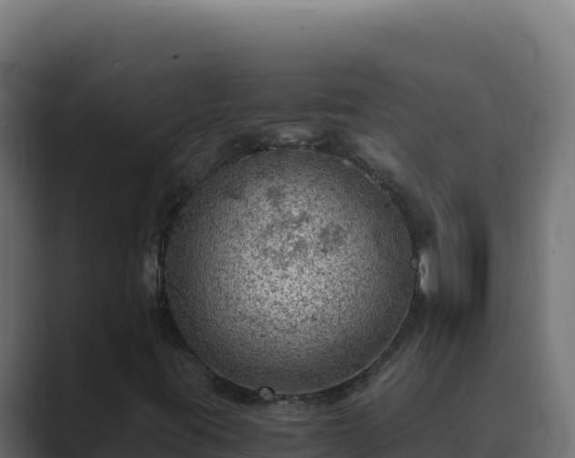 X0000089691395200706281407