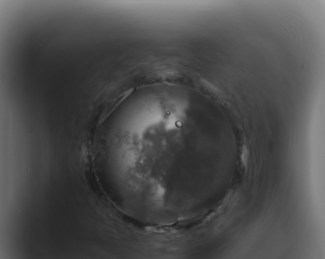 X0000089691397200706281407