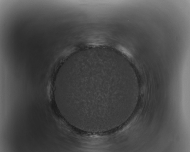 X0000089691398200706281407