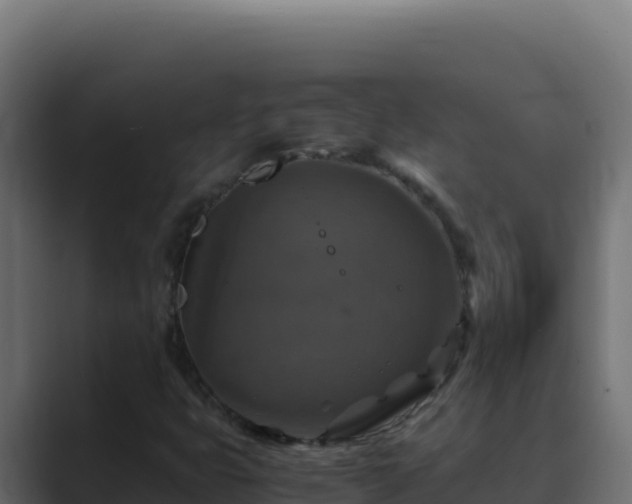 X0000089691399200706281407