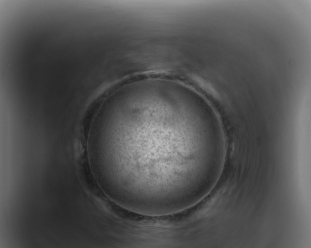 X0000089691400200706281407