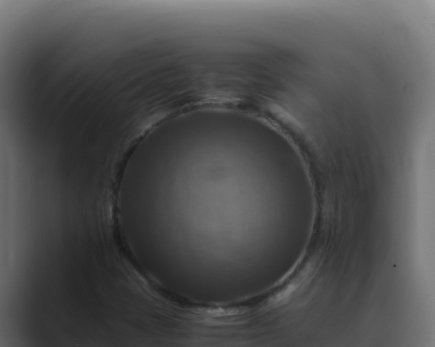 X0000089691401200706281407