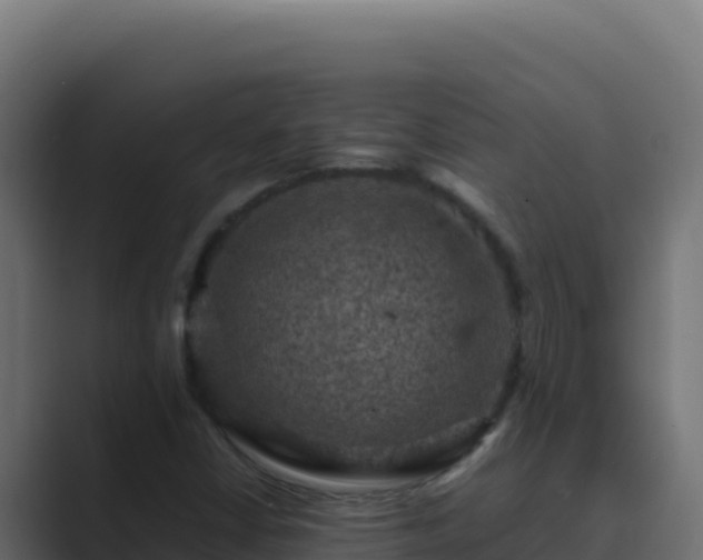 X0000089691402200706281407