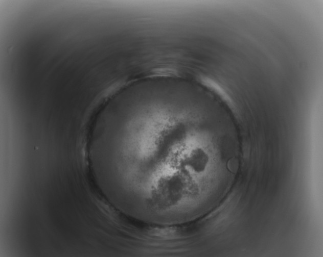 X0000089691403200706281407