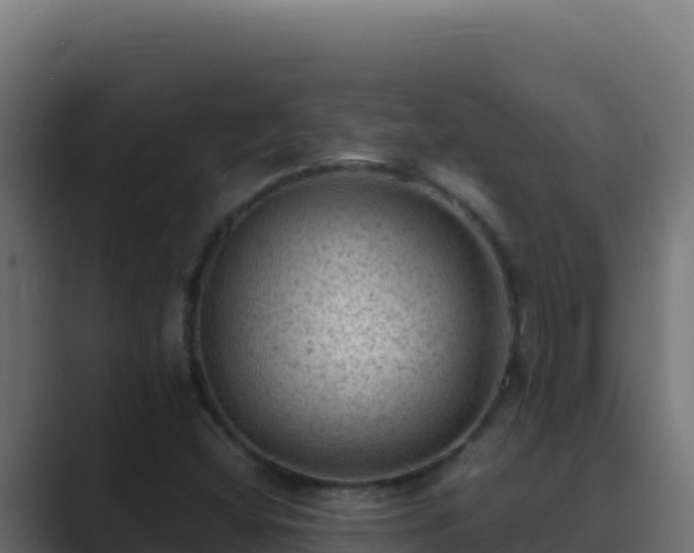 X0000089691404200706281407