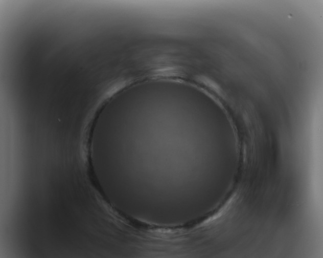 X0000089691405200706281407