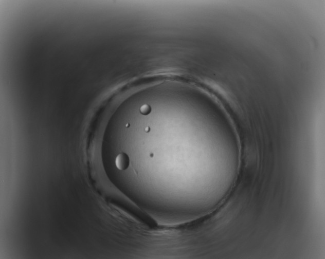 X0000089691406200706281407