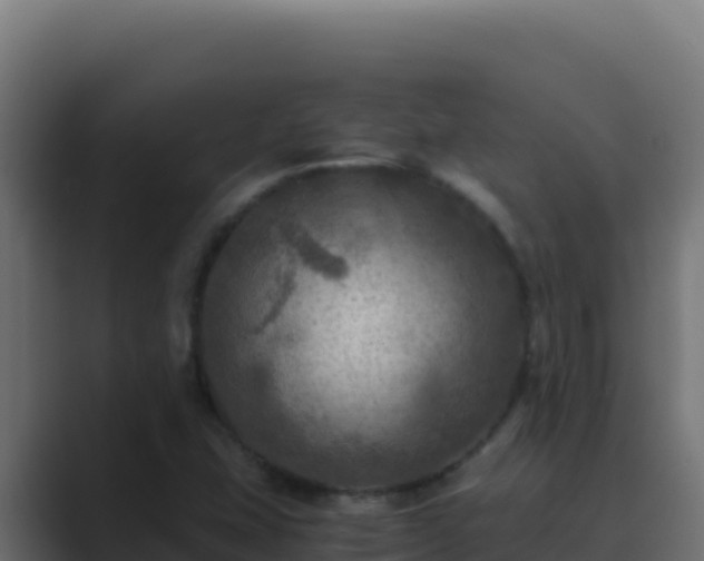 X0000089691407200706281407