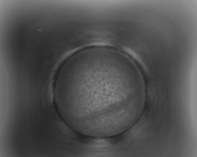 X0000089691408200706281407