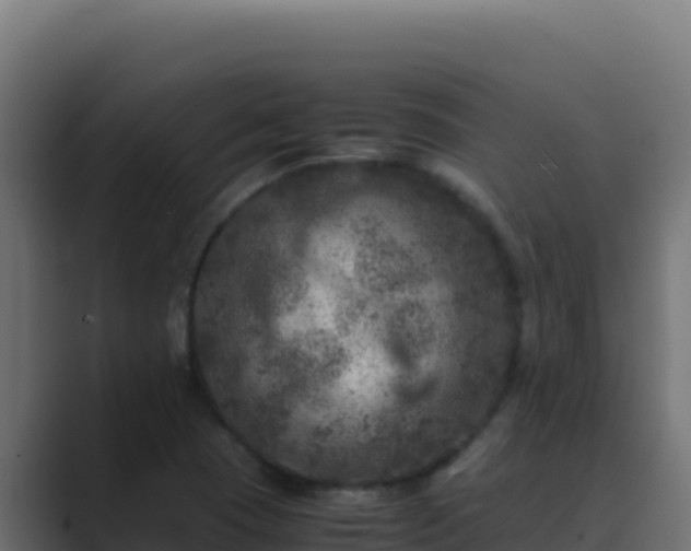 X0000089691409200706281407