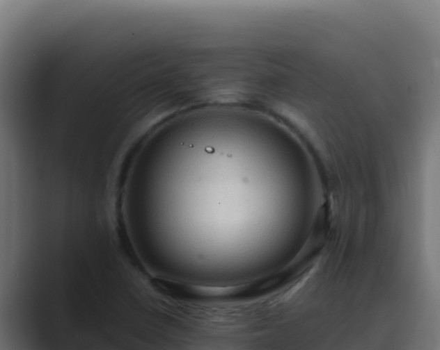 X0000089691410200706281407