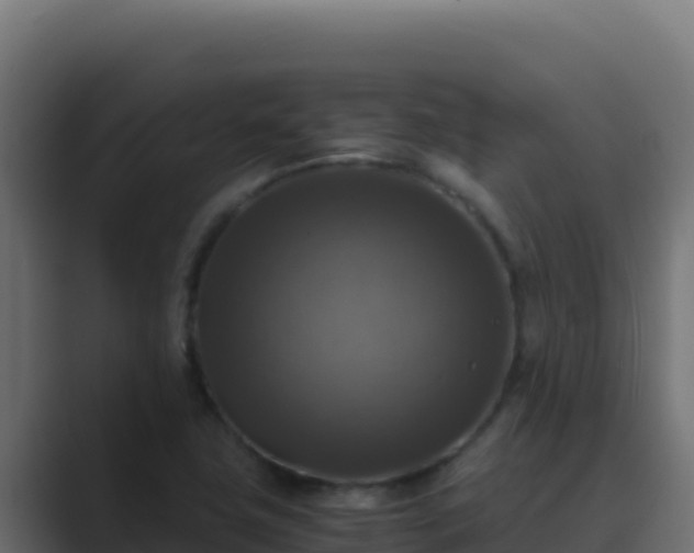 X0000089691411200706281407