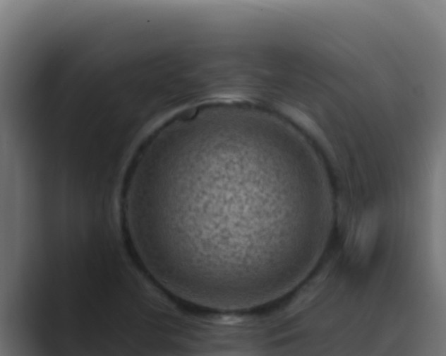 X0000089691412200706281407