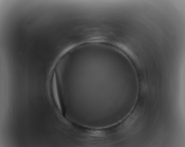 X0000089691413200706281407