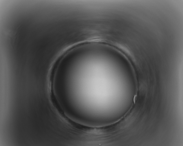 X0000089691414200706281407