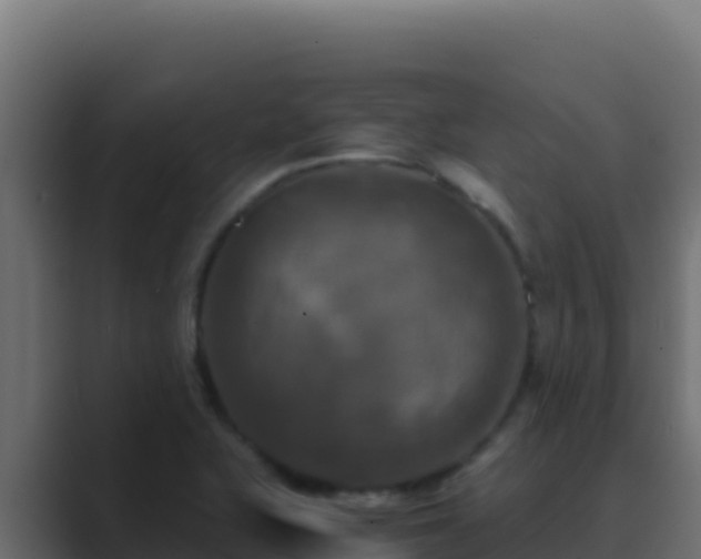 X0000089691415200706281407