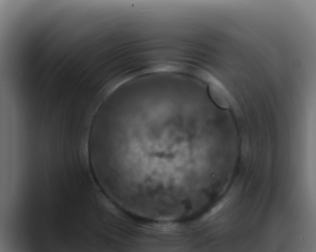 X0000089691417200706281407