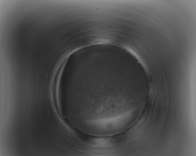 X0000089691418200706281407