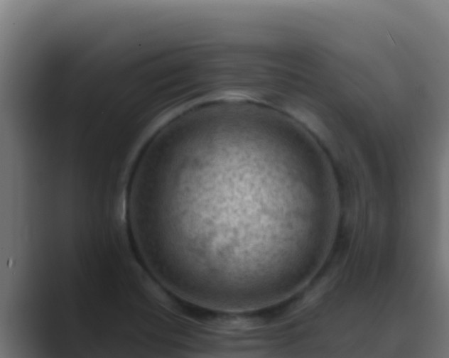 X0000089691420200706281407