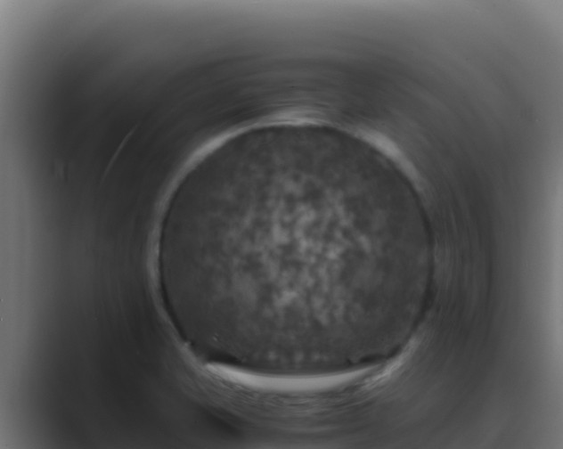 X0000089691421200706281407