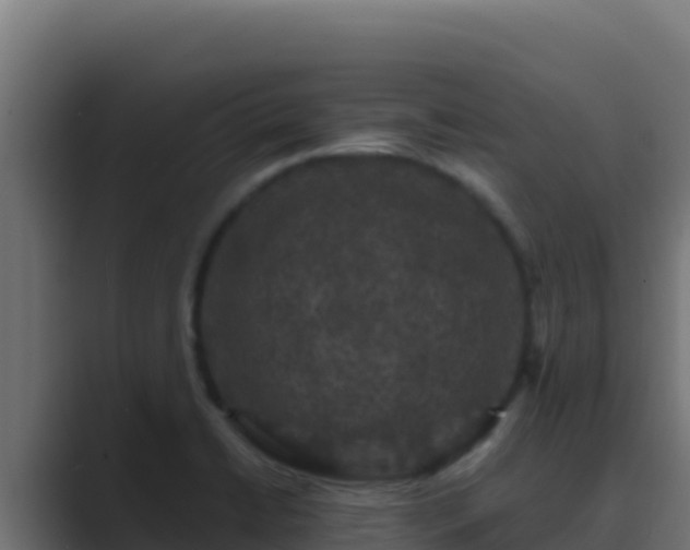 X0000089691422200706281407