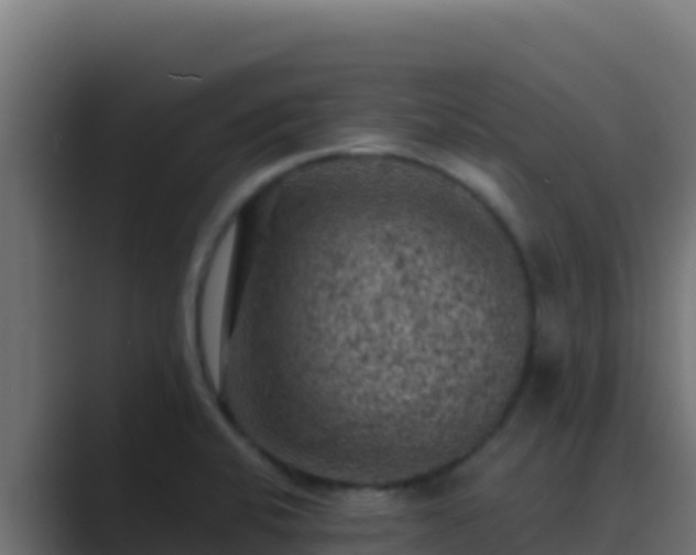 X0000089691424200706281408