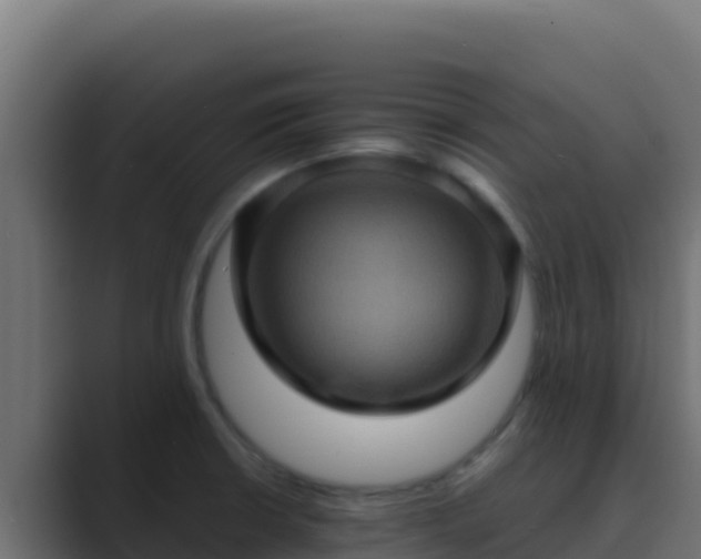 X0000089691426200706281408