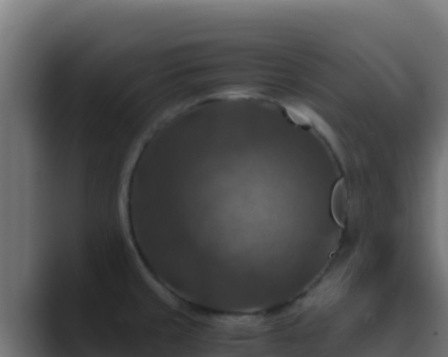 X0000089691429200706281408