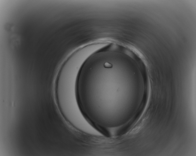 X0000089691430200706281408