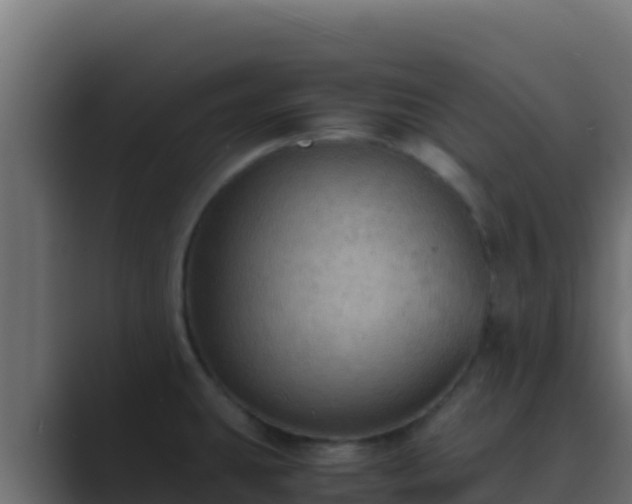 X0000089691431200706281408