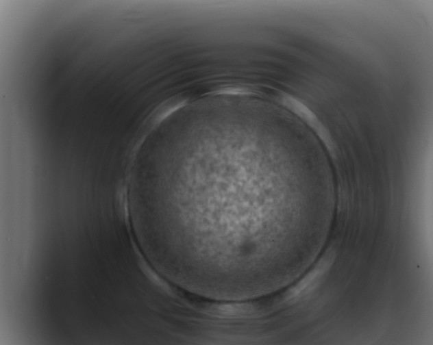 X0000089691433200706281408