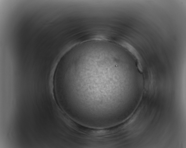 X0000089691435200706281408