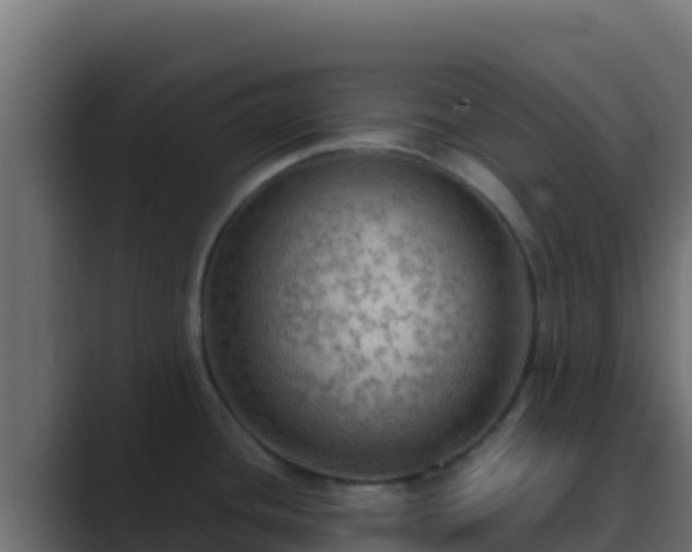 X0000089691436200706281408