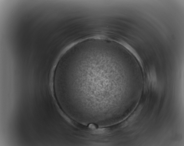 X0000089691437200706281408