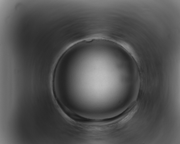 X0000089691438200706281408