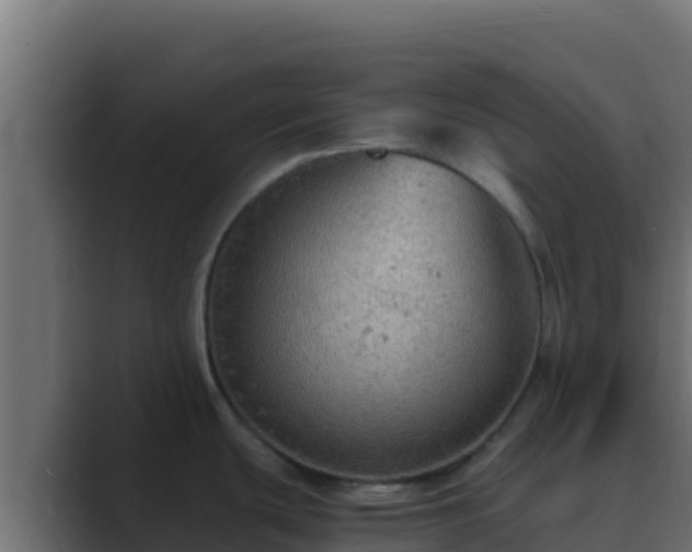 X0000089691439200706281408