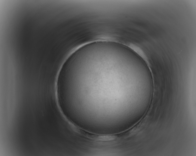 X0000089691440200706281408