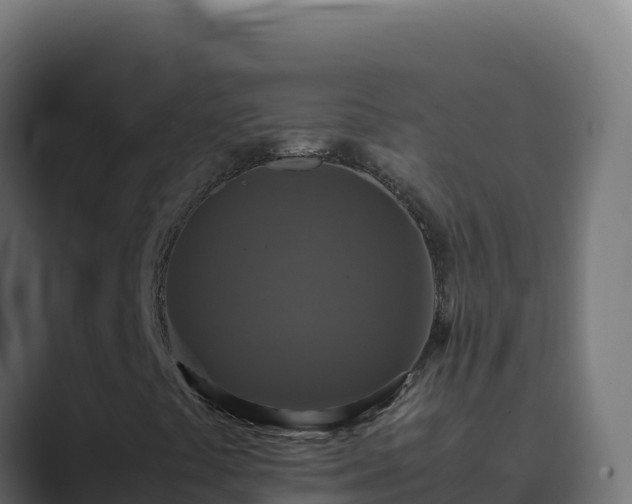 X0000089691441200706281407