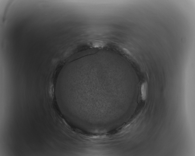 X0000089691443200706281407