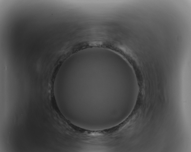 X0000089691445200706281407