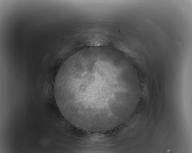 X0000089691446200706281407