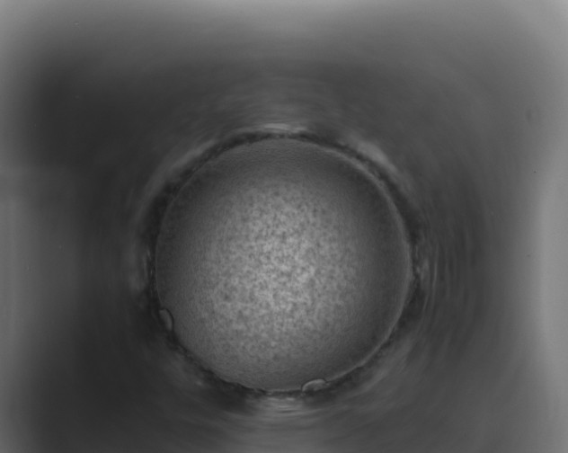 X0000089691448200706281407