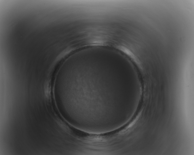 X0000089691450200706281407